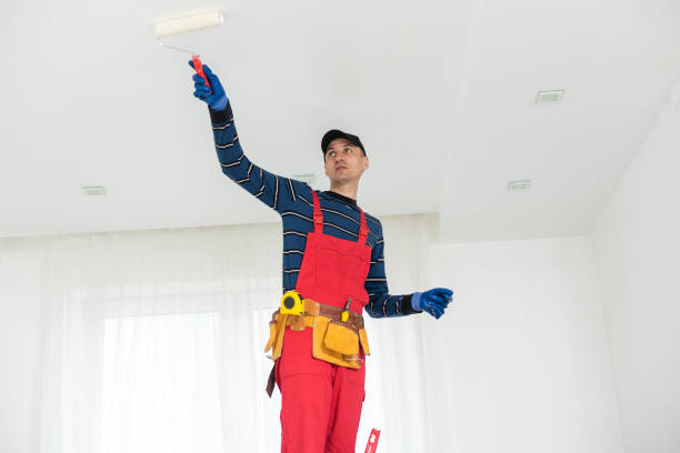 Best Fire-Damaged Drywall Repair  in Bristol, CT